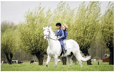 В Государственном киноцентре открылся фестиваль европейских фильмов-2015